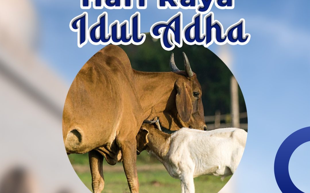 FIB Undip Mengucapkan Selamat Hari Raya Iduladha 1446 H / 2025 M: Semangat Berkurban Sucikan Hati dan Kuatkan Solidaritas